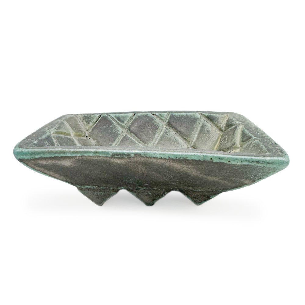 Dish