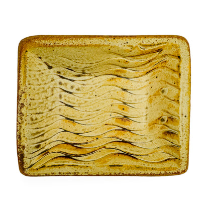 Dish