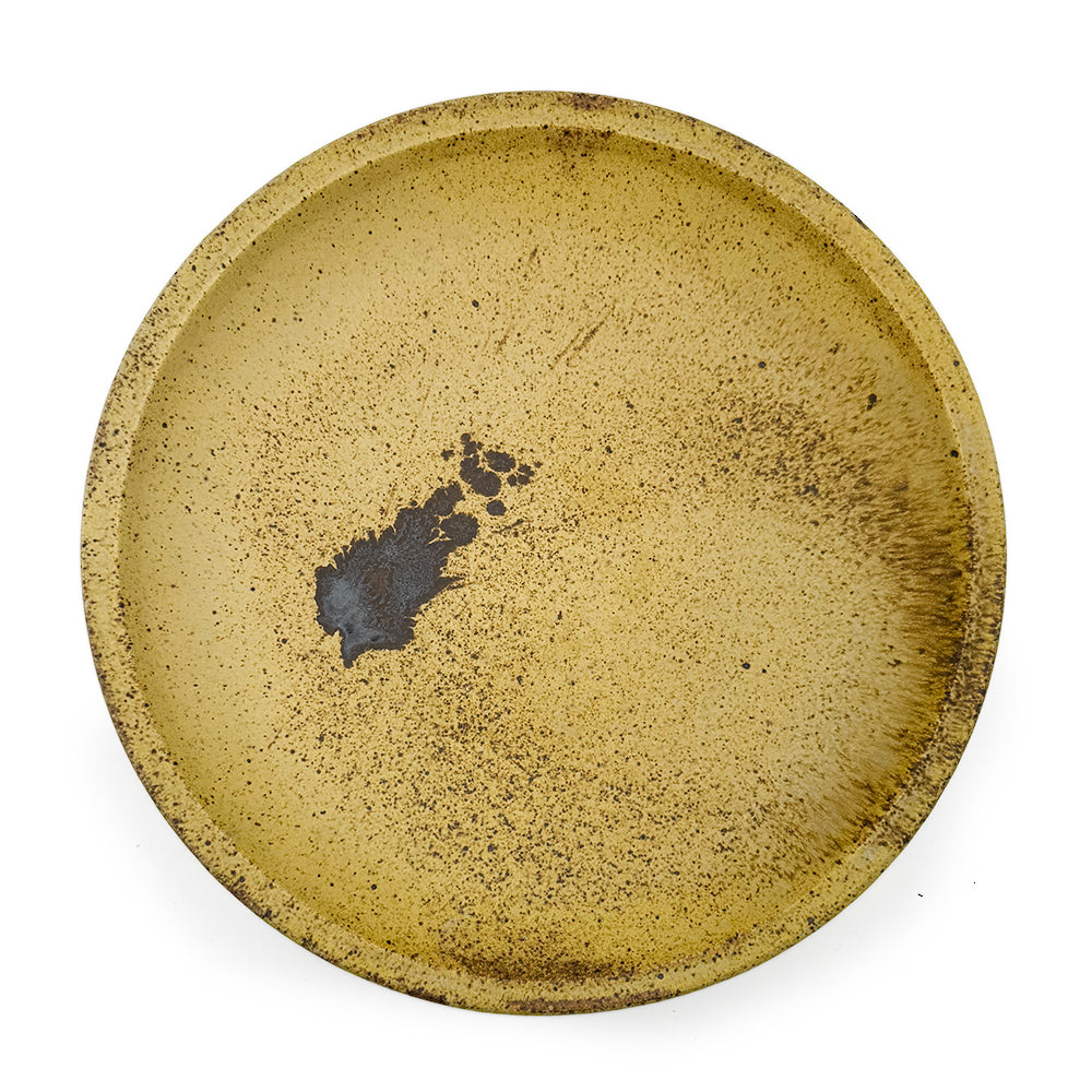 Platter