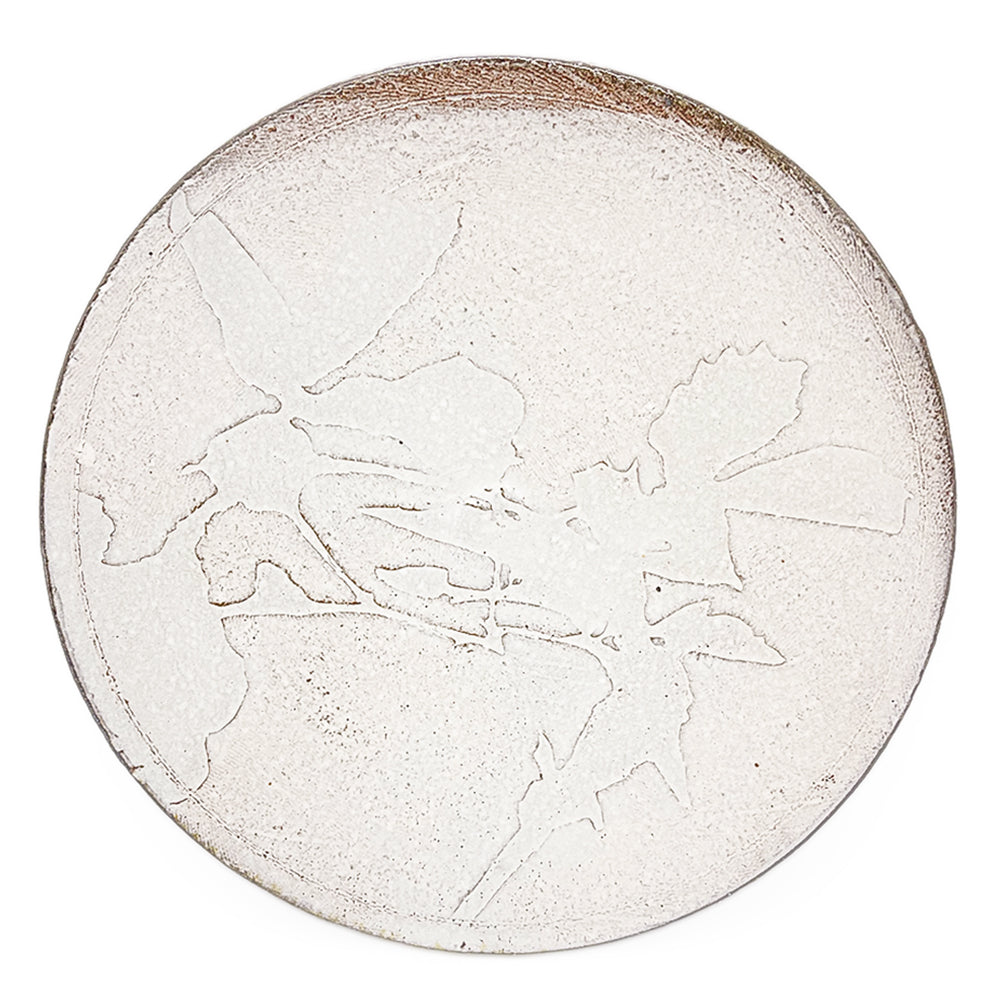 Dinner Plate, APF 2026