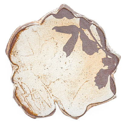 Cut Rim Plate, APF 2026