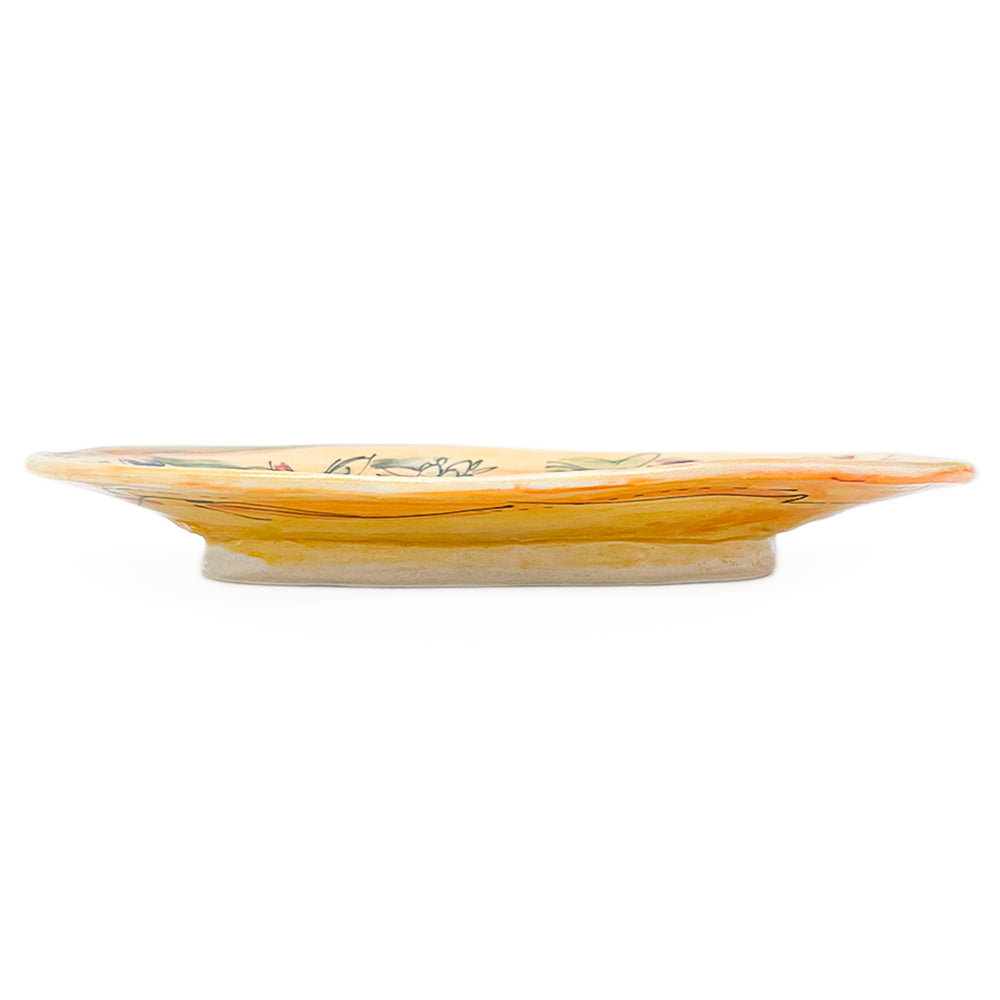 Dish
