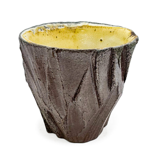 Cup, APF 2025