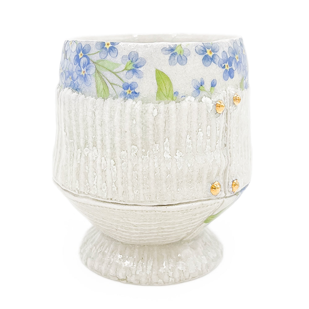 Cup, APF 2026