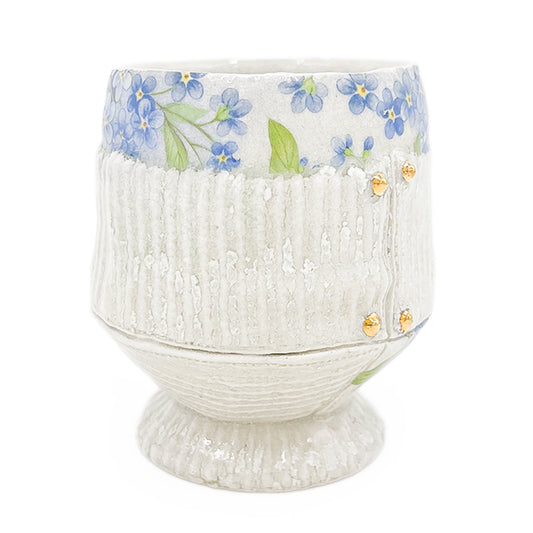 Cup, APF 2026