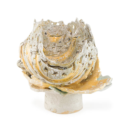 Open Shell