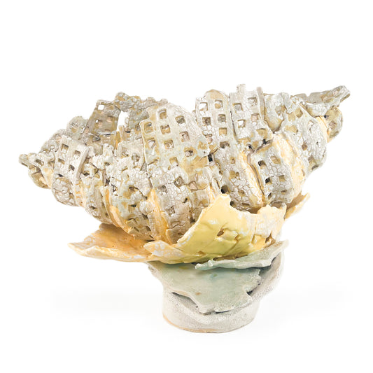 Open Shell