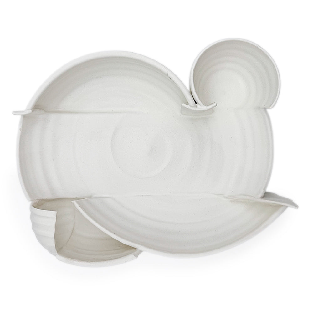 Platter