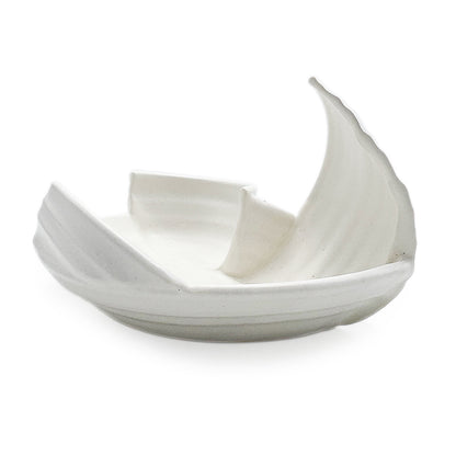 Dish