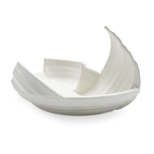 Dish