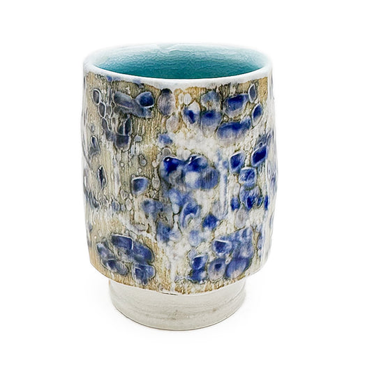 Cup, APF 2025