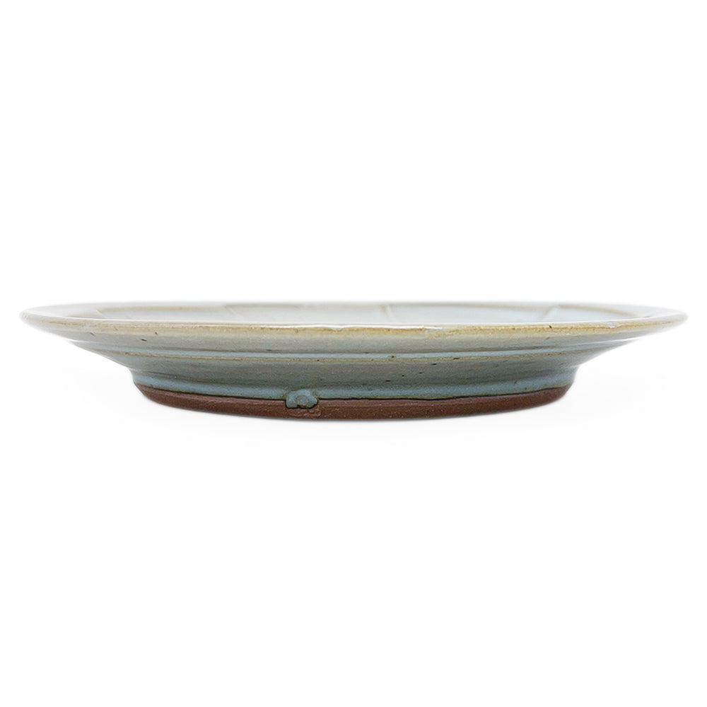 Plate