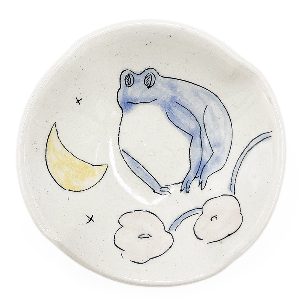 Dish