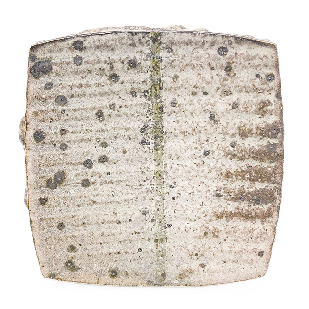 Plate, APF 2026