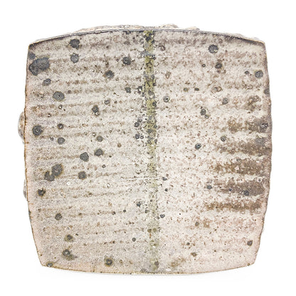 Plate, APF 2026