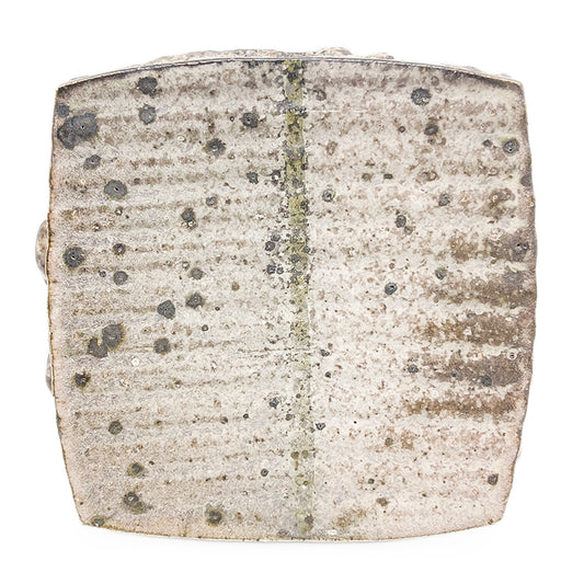 Plate, APF 2026