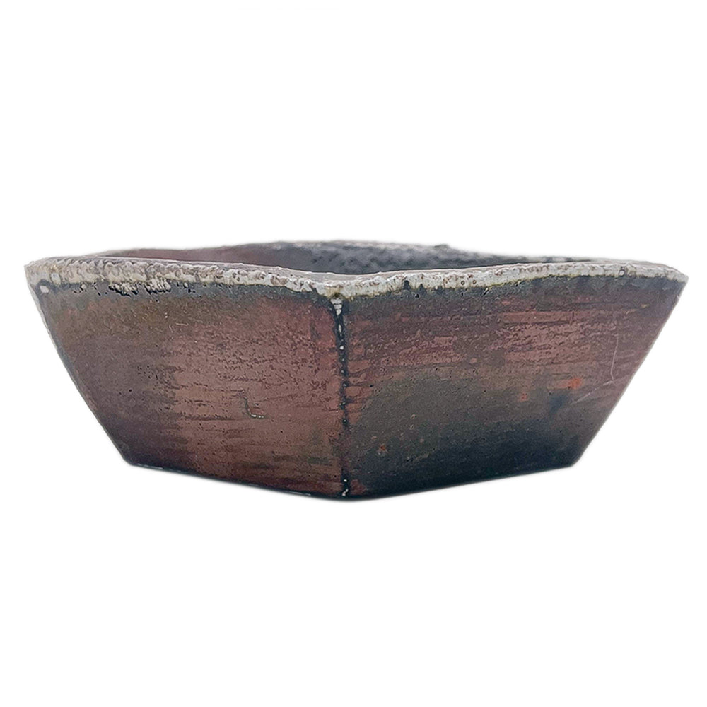 Dish, APF 2026