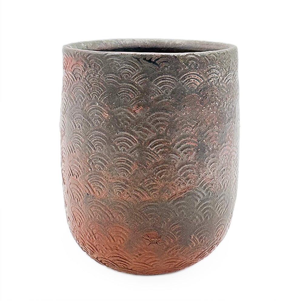 Cup, APF 2026