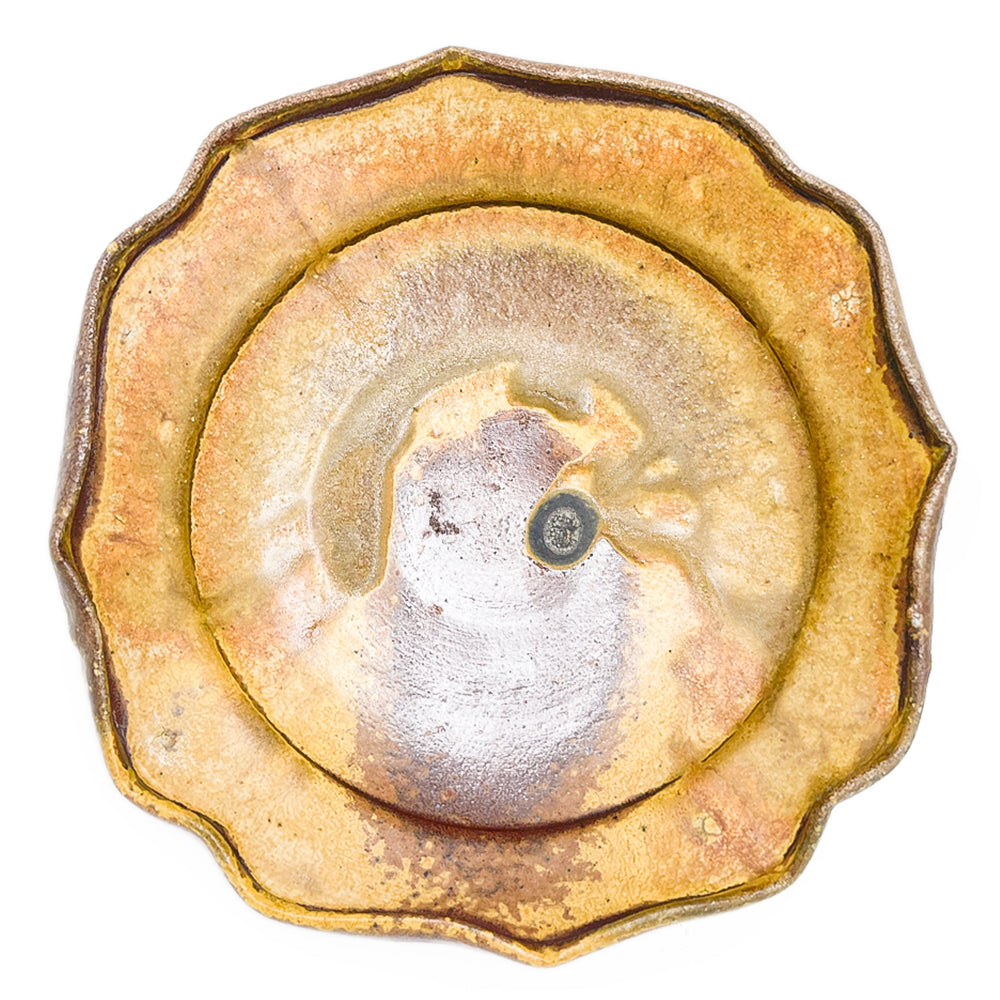 Plate, APF 2026