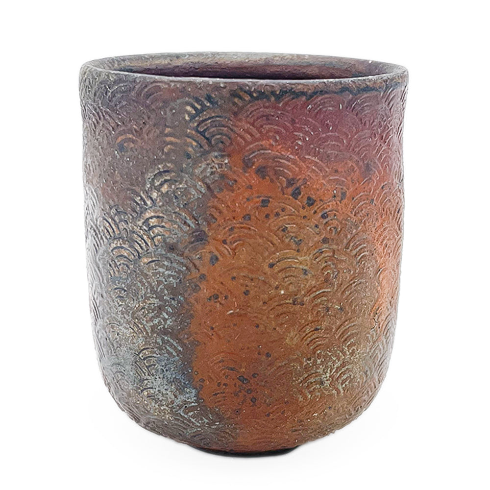 Cup, APF 2026