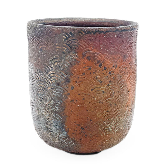 Cup, APF 2026