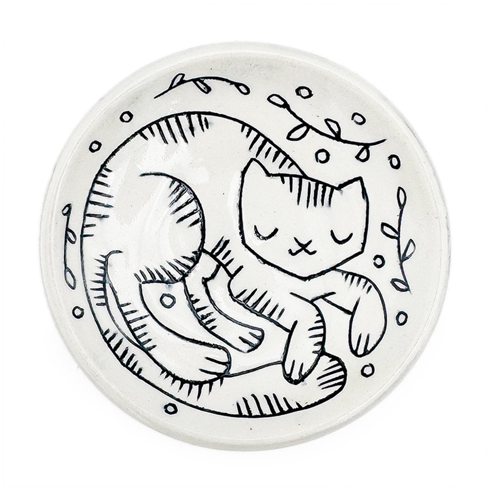 Dish