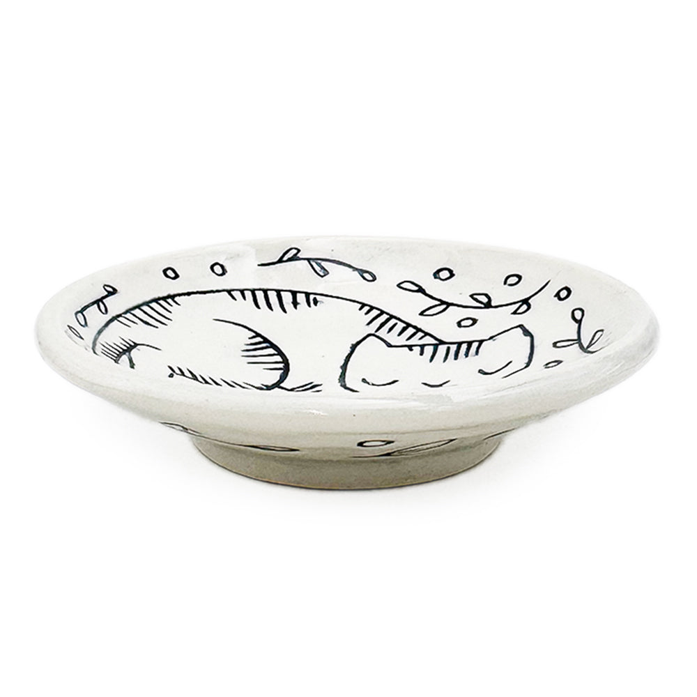 Dish